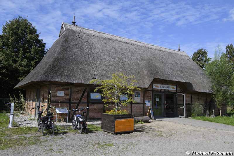 Oldenburg in Holstein Wallmuseum