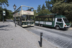 Potsdam Sightseeing-Busse