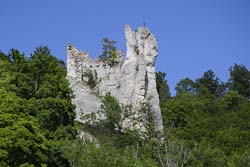 Burgruine Neugutenstein