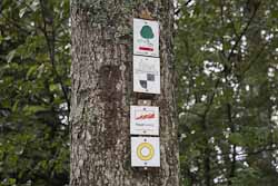 Premiumwanderwege Traufgänge