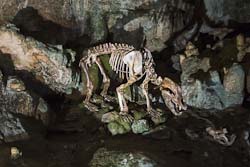 Sonnenbühl Bärenhöhle