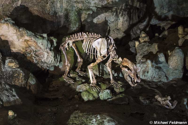 Sonnenbühl Bärenhöhle