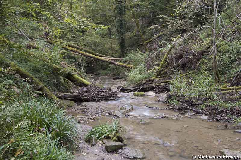Zillhauser Wasserfall