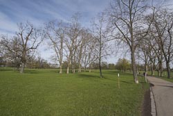 Stuttgart Rosensteinpark