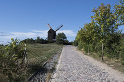 Windmühle Pudagla