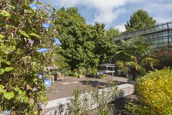 Würzburg Botanischer Garten