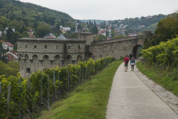 Würzburg Weinlagen