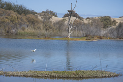 Naturschutzgebiet La Charca