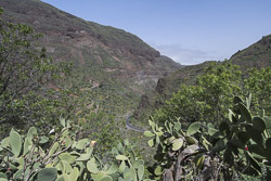 Das Tal von Guayadeque