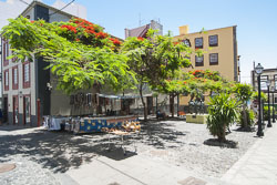 Plaza de Vandale in Santa Cruz
