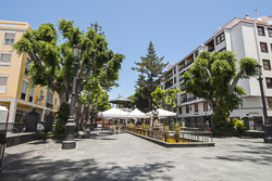 Plaza de la Alameda in Santa Cruz