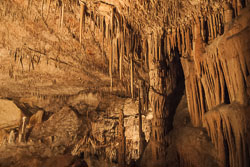 Mallorca Cuevas del Drach