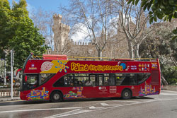 Sightseeing Bus in Palma