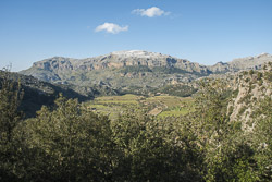 Tal Torrent de Lluc