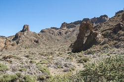 Zapatilla de la Reina