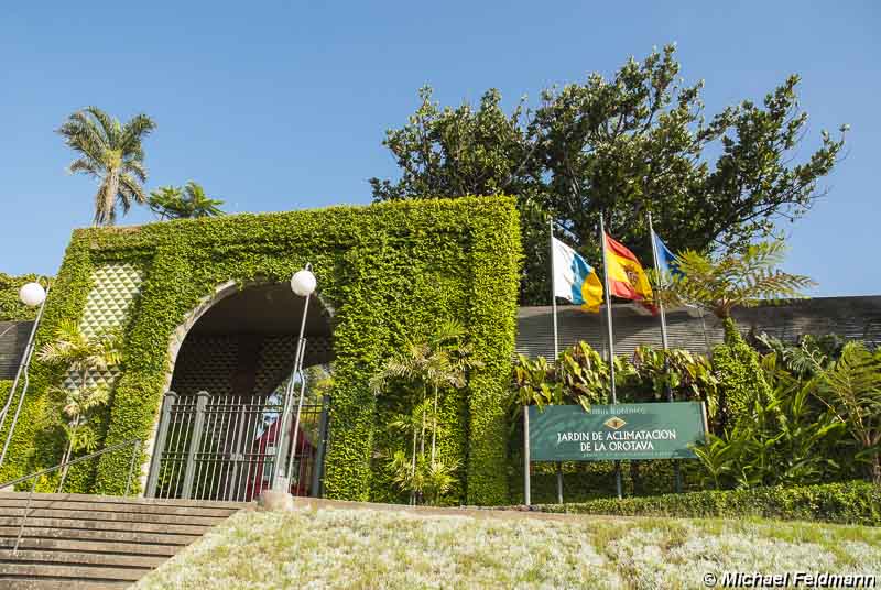 Puerto de la Cruz: Botanischer Garten
