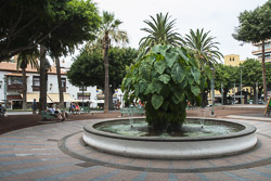 Puerto de la Cruz: Plaza Charco